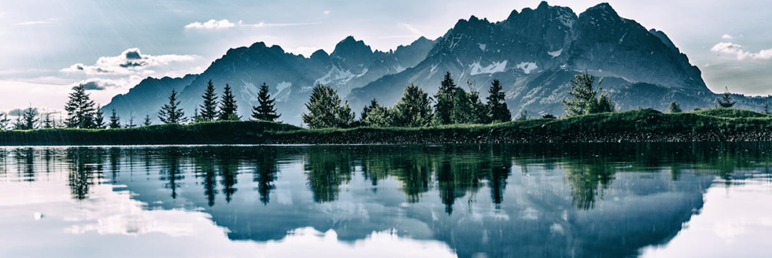 Why Does Vitiligo Spread More Easily in Spring? Do You Know the Reasons?